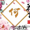 乐安开心就好的头像