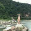 与歌同行的头像