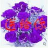 无愿无悔的头像