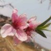 ℡我心依旧的头像