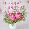 寒心（暂停）的头像