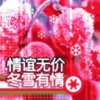 忘记过去的头像