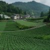 纵横49徒明天会更好停币的头像