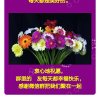 好运的头像