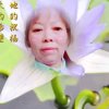 李姐的头像