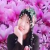 乐心的头像