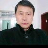 迎客松的头像