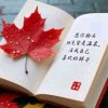 红叶的头像