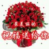 绵羊以柔克刚的头像