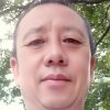 鑫鑫向荣的头像