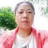 自由的头像