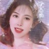 情妹妹免币的头像