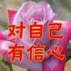 平洁的头像