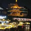 鹰的头像
