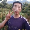 农村人火的头像
