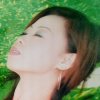 蓝色妖姬的头像