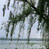 芬芳早5.30的头像