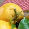 温柔阳光的头像