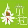 一心的头像