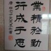 晨辉的头像