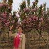傲霜寒梅兰花草的头像