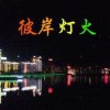 彼岸灯火的头像
