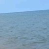 海的头像