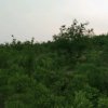 小鱼儿的头像