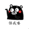 逗逗的头像