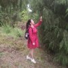 一代天娇的头像