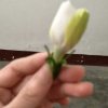 芳芳的头像