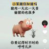 中华的头像
