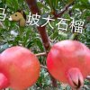 日月星辰的头像