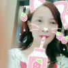 flower的头像