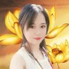 翠叶星月的头像