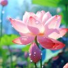 春暖花开（暂退)的头像