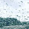 秋雨的头像