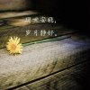 岁月静好的头像