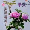 冷静的头像