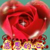 美梦的头像