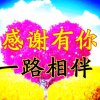 追梦（主号）的头像