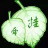 优雅的头像