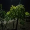 羽化尘的头像