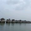 梦缠绵的头像