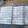 为心执着等于愣？！的头像