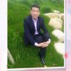 幸福相伴的头像