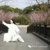 岸芷汀兰的头像