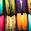 削个椰子皮的头像