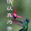 愿你开心每一天，暂退。的头像