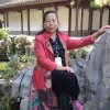 云洁的头像